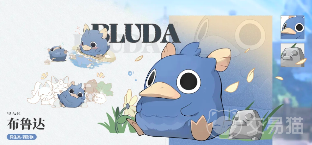 蓝色星原旅谣布鲁达角色解析 蓝色星原旅谣布鲁达技能机制与实战表现深度评测