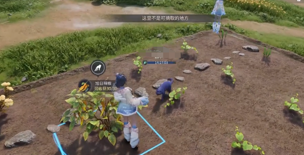 王者荣耀世界家园玩法详解 王者荣耀家园系统新手入门与互动指南