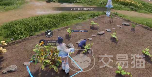 王者荣耀世界家园玩法详解 王者荣耀家园系统新手入门与互动指南