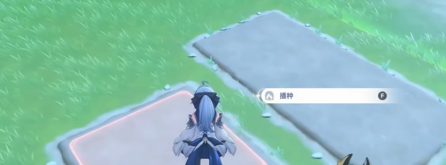 蓝色星原旅谣种菜机制详解 蓝色星原旅谣种菜玩法与收益优化指南