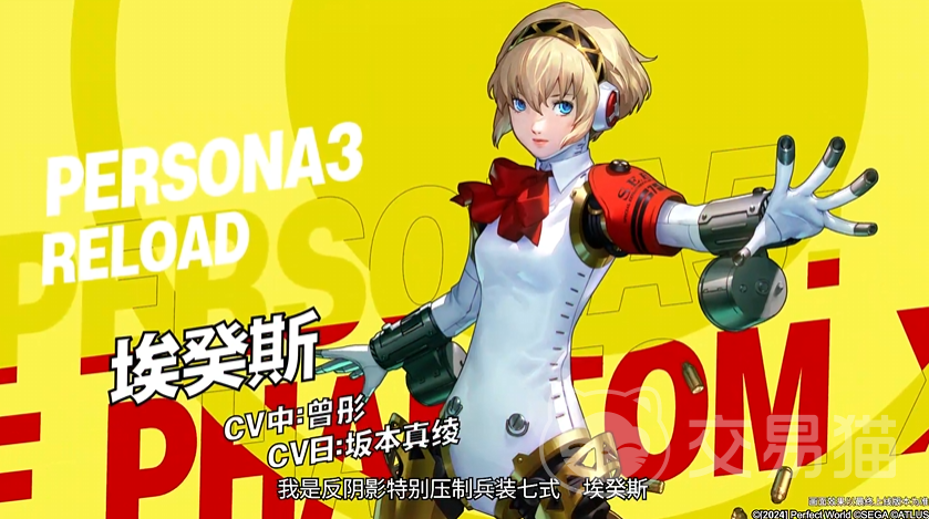 女神异闻录:夜幕魅影埃癸斯角色强度解析与实战培养攻略