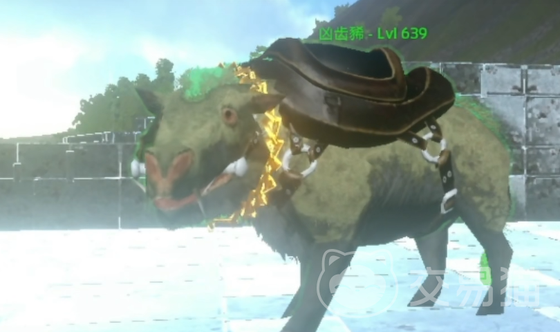 方舟生存进化手游凶齿豨驯服攻略 方舟生存进化手游凶齿豨高效驯服方法与技巧