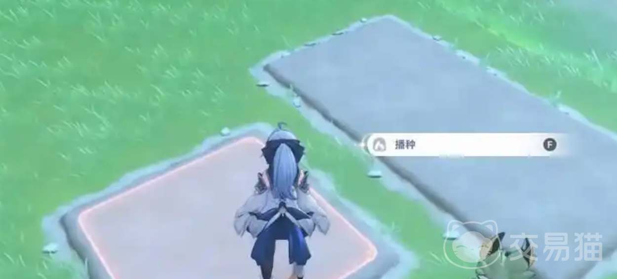 蓝色星原旅谣种菜机制详解 蓝色星原旅谣种菜玩法入门与高效收益指南