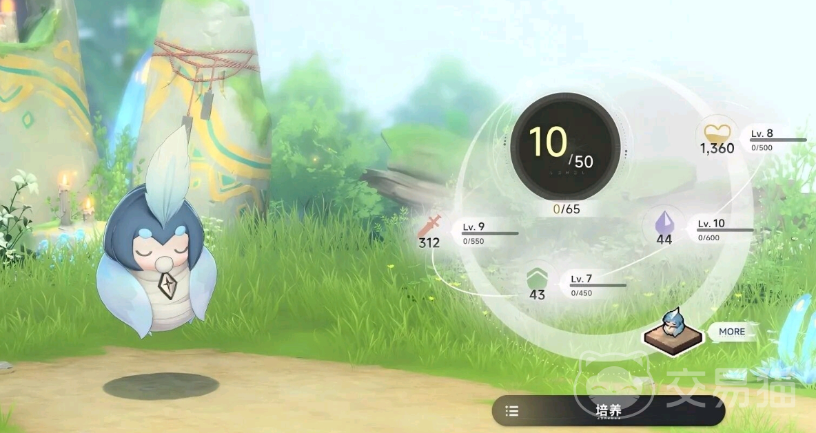 蓝色星原旅谣奇波技能搭配指南 蓝色星原旅谣奇波角色技能组合与实战应用