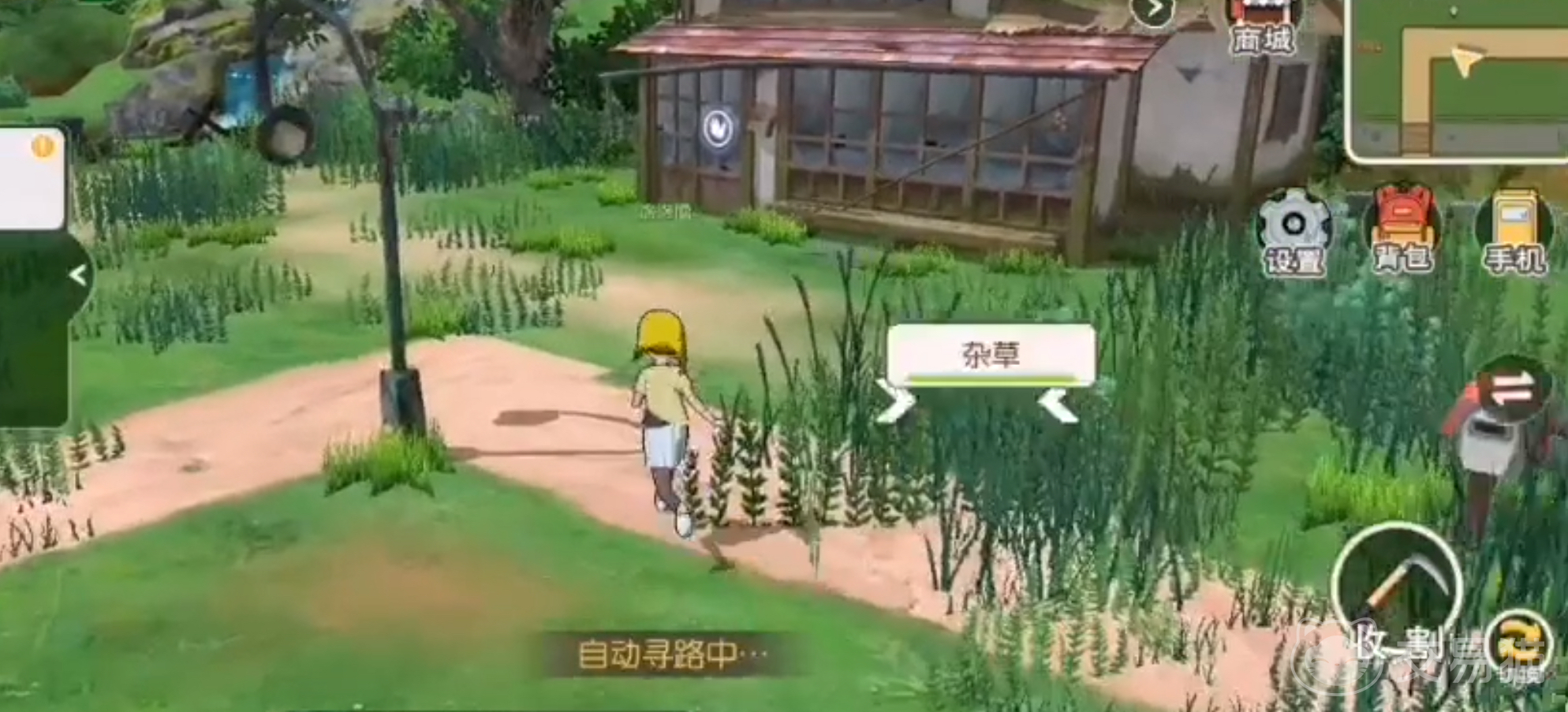 小森生活上线时间是什么时候 小森生活具体开服日期揭晓