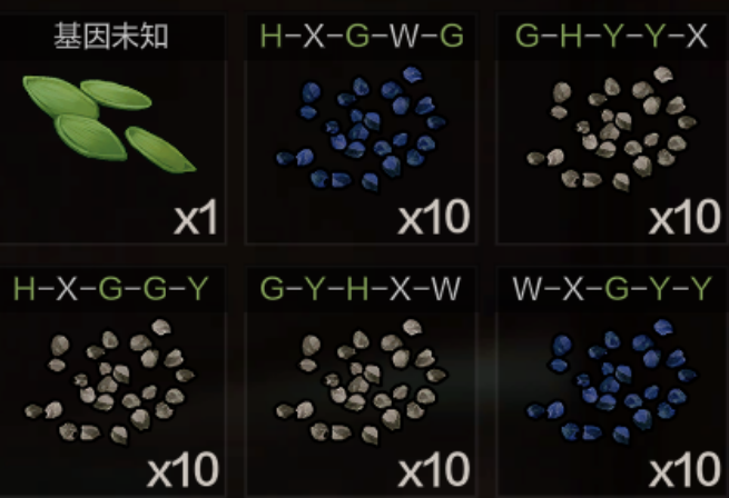 失控进化种子培育攻略  
优质基因种子高效培育方法详解