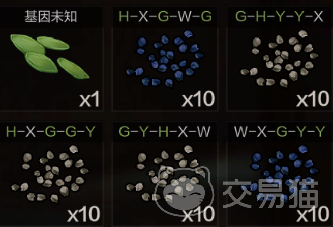 失控进化种子培育攻略
优质基因种子高效培育方法详解