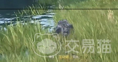 龙岛异兽起源 神秘图腾解锁方法与全流程攻略