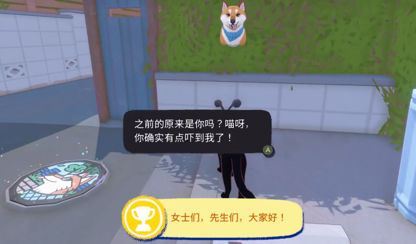 小猫咪大城市生存指南 小猫咪遇到狗的应对策略与安全建议