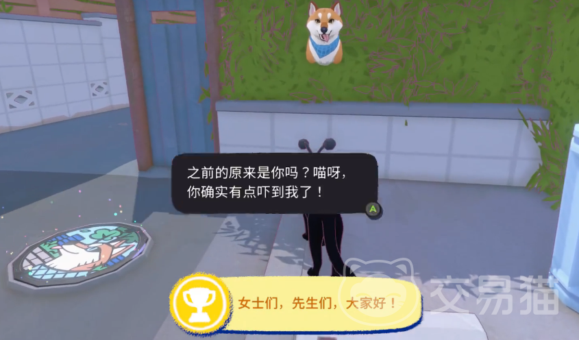 小猫咪大城市生存指南 小猫咪遇到狗的应对策略与安全建议