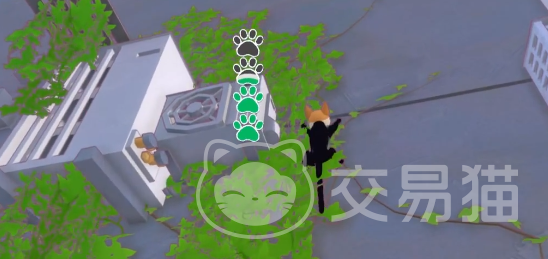 小猫咪大城市回家攻略 小猫咪大城市迷路后如何安全返家