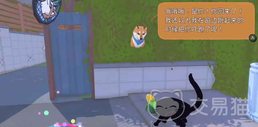 小猫咪大城市狗怎么过 小猫咪大城市狗找球全攻略