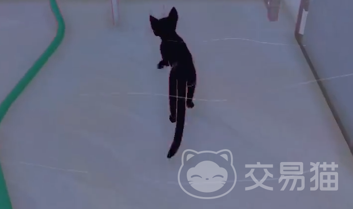 小猫咪大城市鱼的位置在哪 小猫咪大城市鱼类收集点全攻略