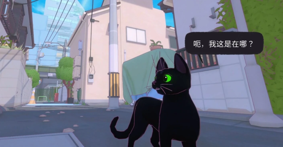 小猫咪大城市太妃的新照任务攻略 小猫咪大城市太妃拍照任务全流程详解