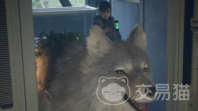 轮回之兽好玩吗 轮回之兽核心玩法与新手入门指南