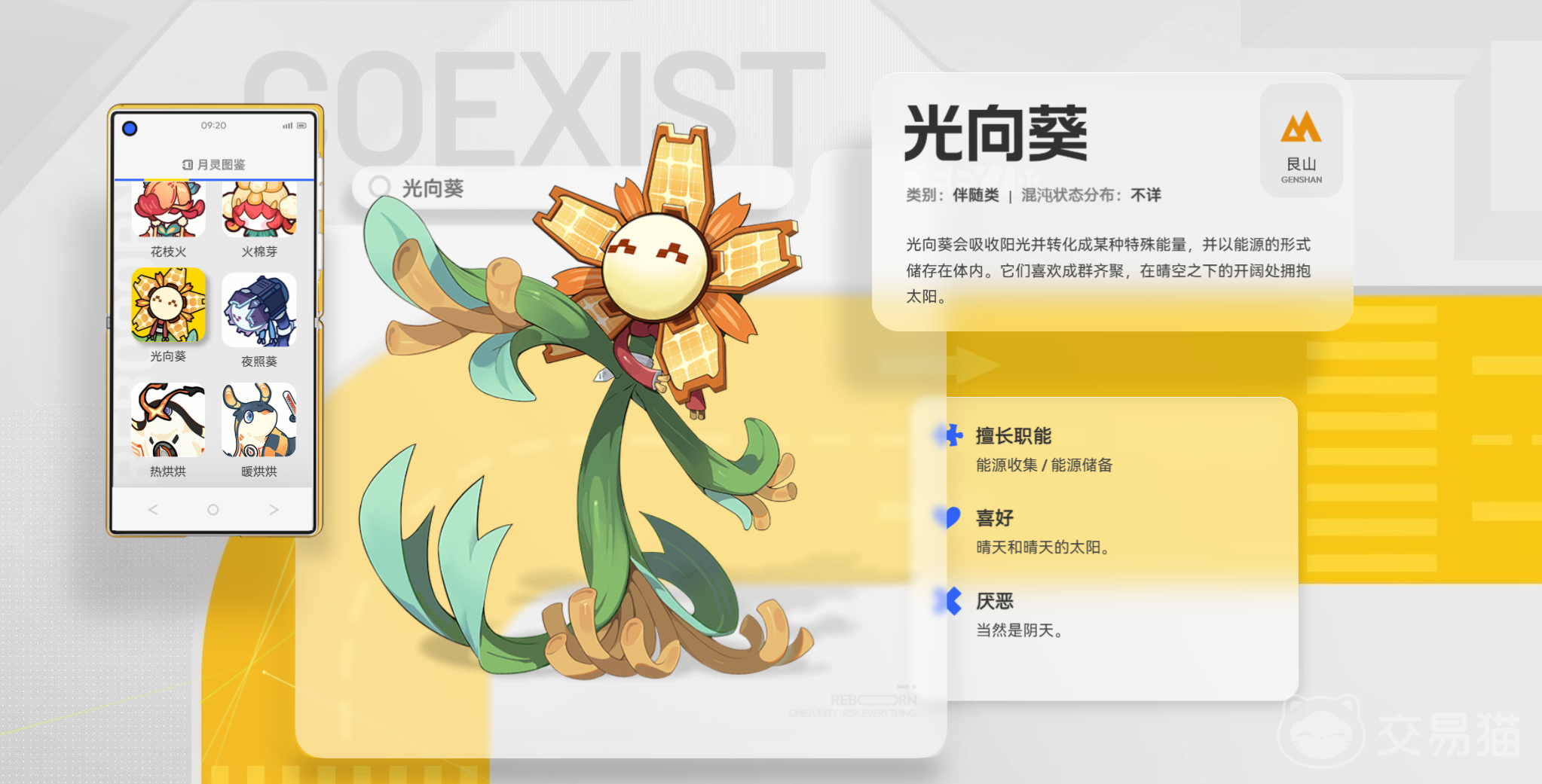 望月光向葵有什么用 望月光向葵详细作用与实战应用解析