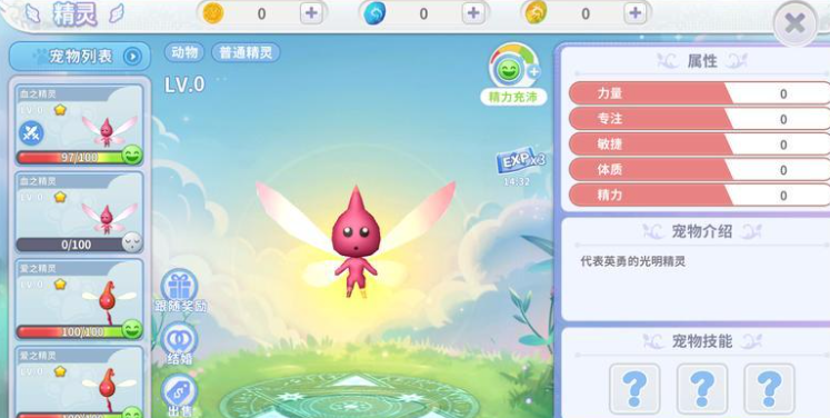 航海记手游升级路线规划 航海记手游宠物升级方法与技巧