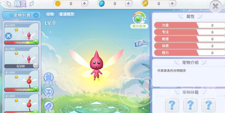 航海记手游升级路线规划 航海记手游宠物升级方法与技巧
