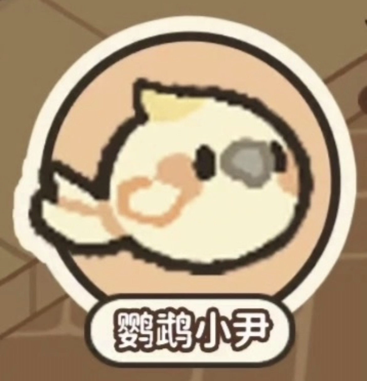 菜鸡梦想家鹦鹉小尹的项链任务攻略 菜鸡梦想家鹦鹉小尹项链获取位置与全流程详解