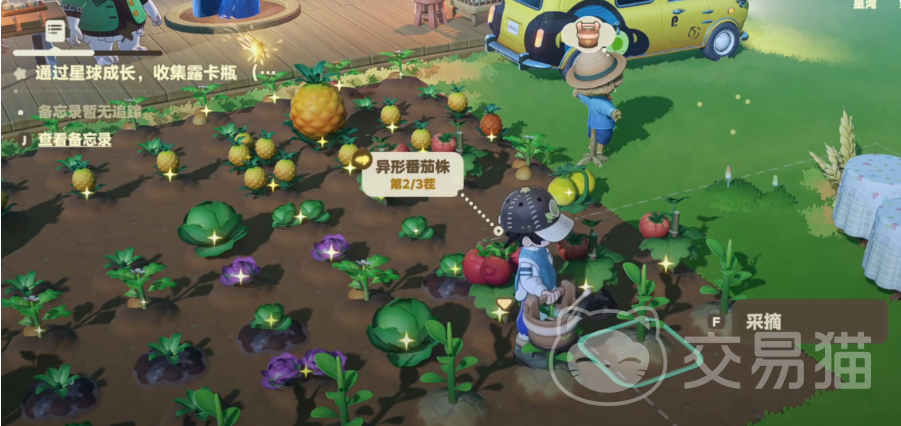 星布谷地作物种植技巧全解析 星布谷地高效种田方法与作物生长周期详解