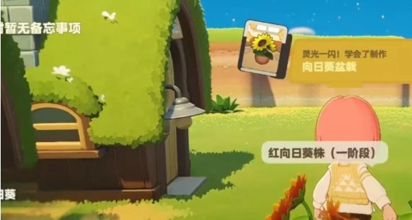 星布谷地抓守宫攻略 星布谷地守宫捕捉方法与技巧详解