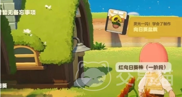 星布谷地抓守宫攻略 星布谷地守宫捕捉方法与技巧详解