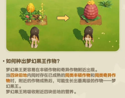 星布谷地果王种植攻略 星布谷地果王高产种植方法与技巧