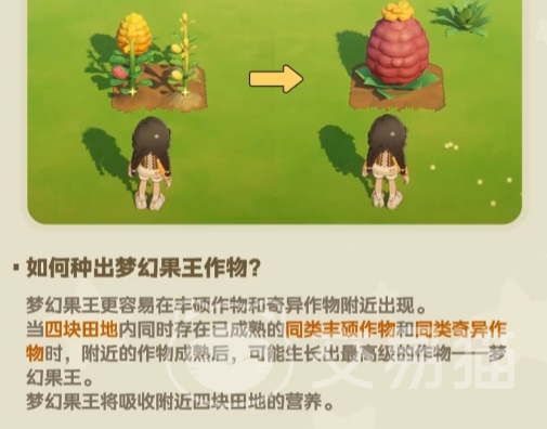 星布谷地果王种植攻略 星布谷地果王高产种植方法与技巧