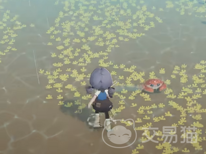 星布谷地寄居蟹捕捉攻略 星布谷地抓寄居蟹详细步骤与技巧