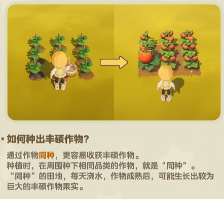 星布谷地变异作物获取攻略 星布谷地高产变异作物种植与掉落全指南
