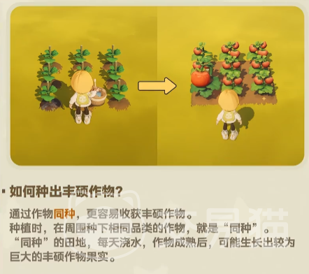 星布谷地变异作物获取攻略 星布谷地高产变异作物种植与掉落全指南