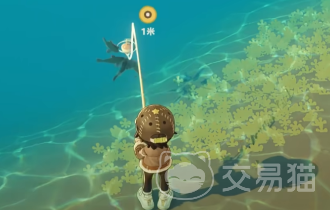 星布谷地海产收集攻略 星布谷地全海产采集位置与高效获取方法