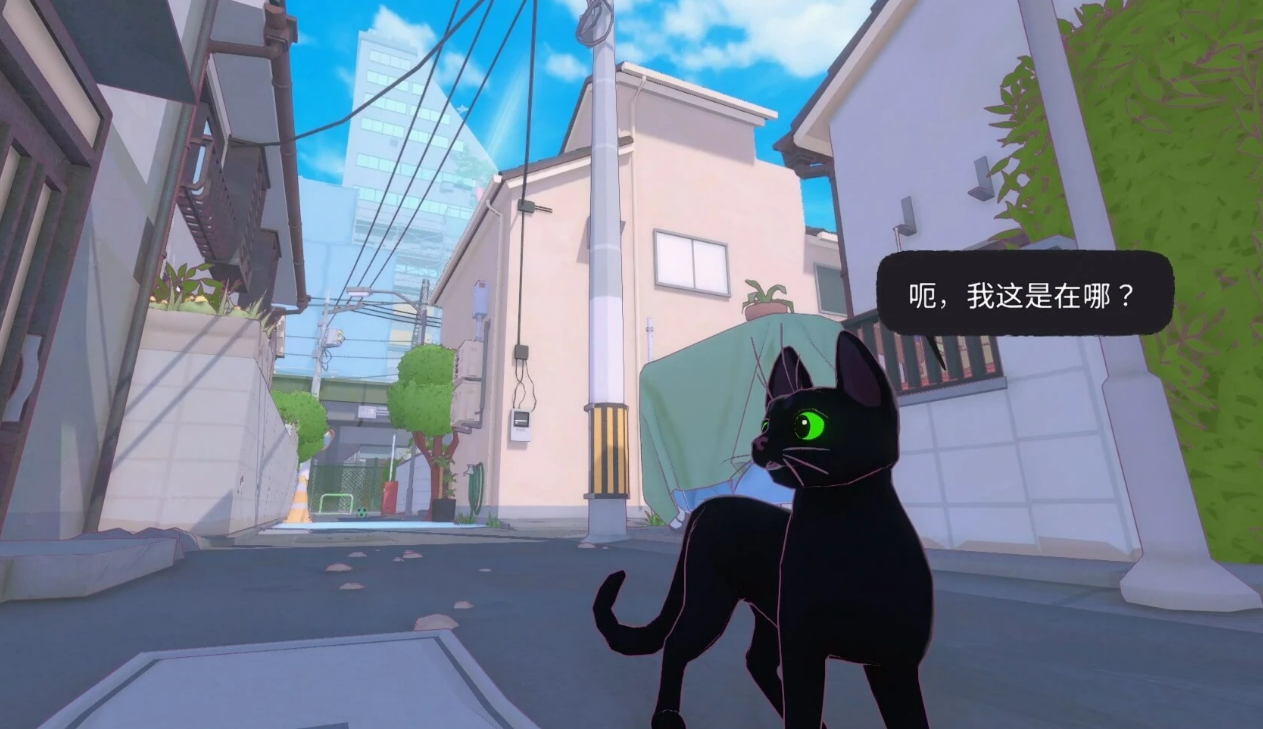 小猫咪大城市地图全解析 小猫咪大城市地图区域资源汇总