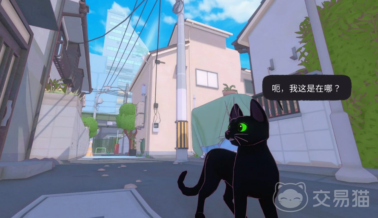 小猫咪大城市地图全解析 小猫咪大城市地图区域资源汇总