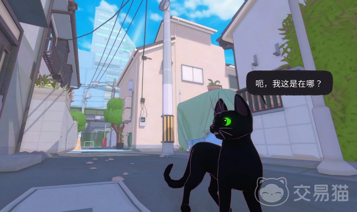 小猫咪大城市所有动物图鉴汇总 小猫咪大城市有哪些动物种类一览
