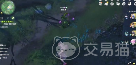 伊莫迷雾森林埋埋点位一览 伊莫迷雾森林解锁攻略详解