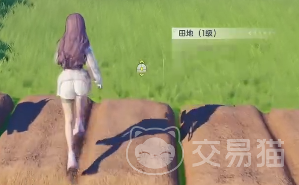 伊莫完美闪避是什么 伊莫完美闪避触发机制与实战技巧