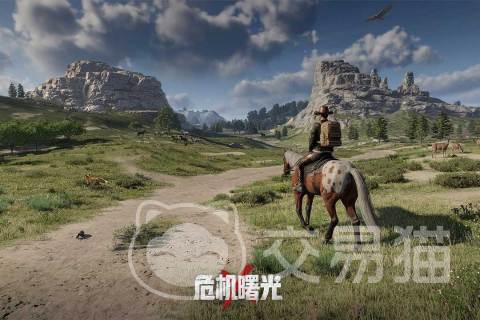 危机曙光单机模式能玩吗 危机曙光单机玩法攻略