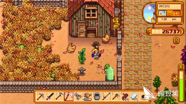 星露谷物语牛怎么喂 靠牛发家致富的方式就在这里 豌豆荚