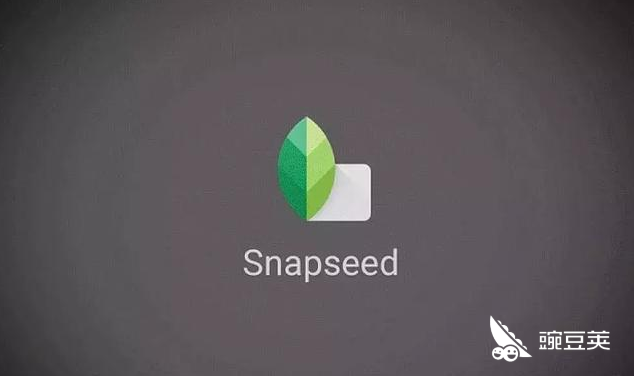 Snapseed蒙版功能使用技巧，让你成为手机修图达人