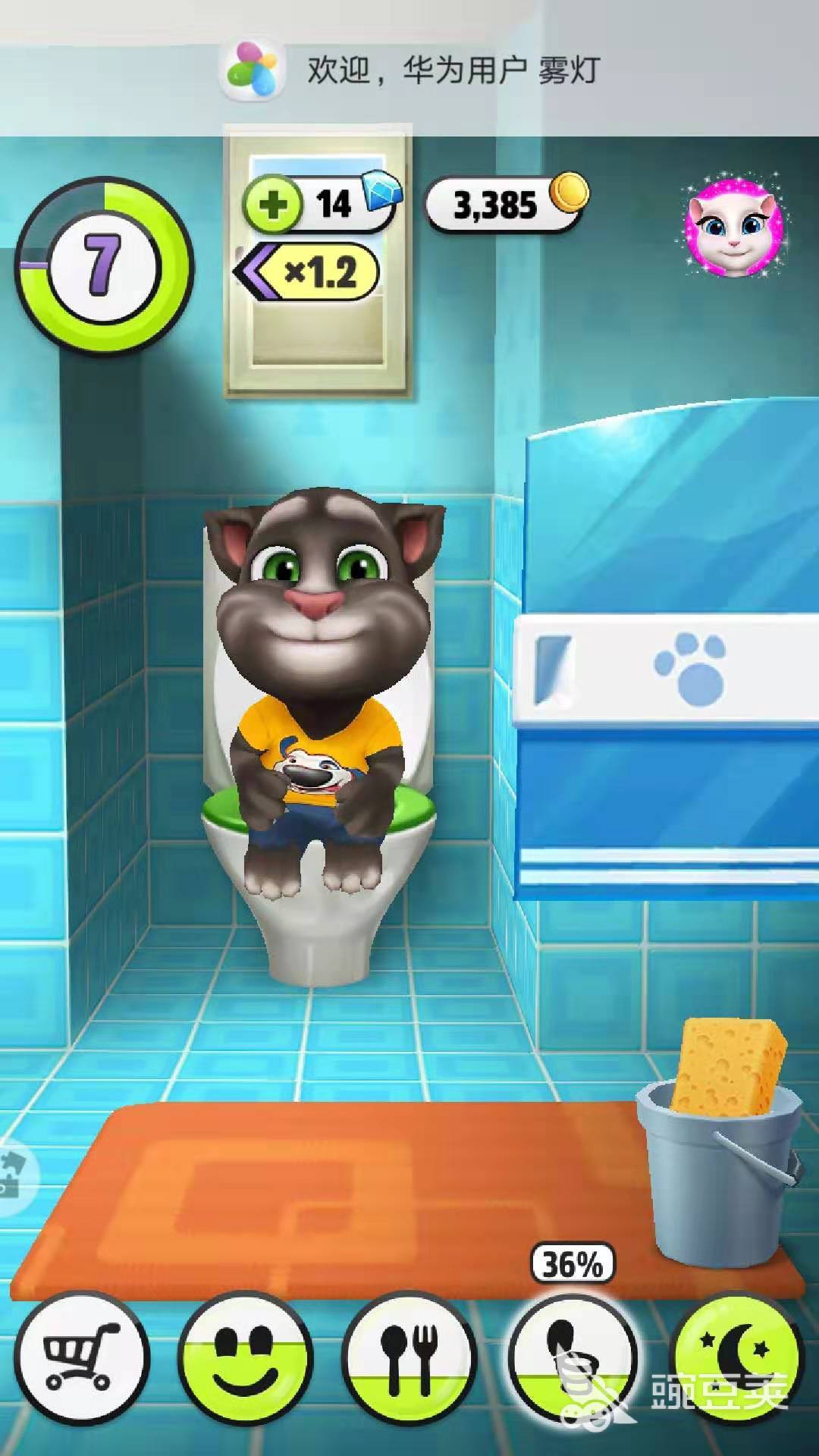 我的汤姆猫怎么上厕所？小猫竟会乖巧自行解决？