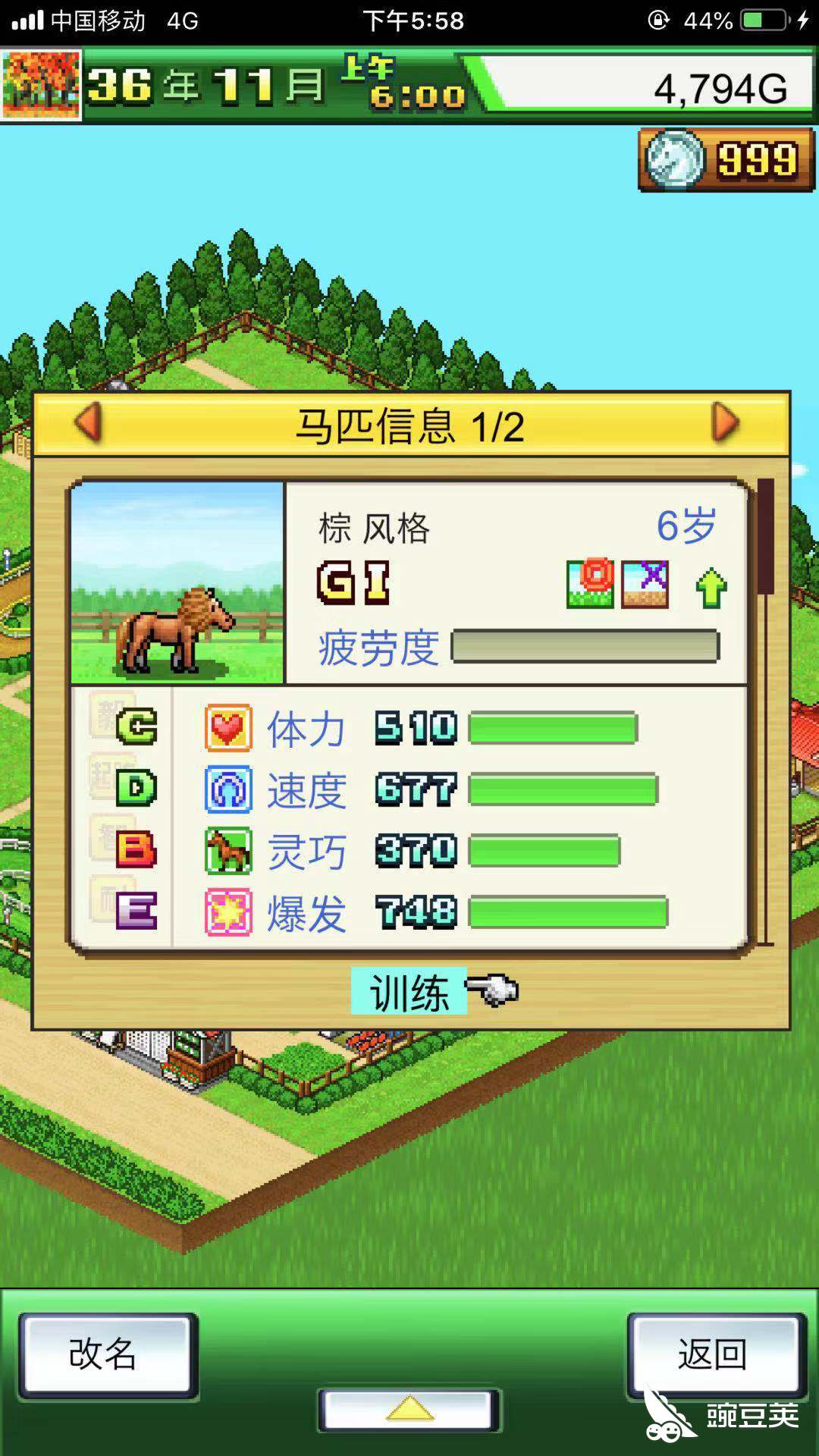 倒数第二个比赛赛马牧场物语猩猩杯攻略 豌豆荚