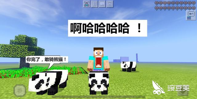 我的世界熊猫怎么驯服 手把手教你骑乘熊猫 豌豆荚