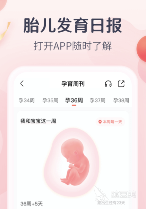 怀孕软件app哪个好用2022 比较靠谱的孕期app推荐