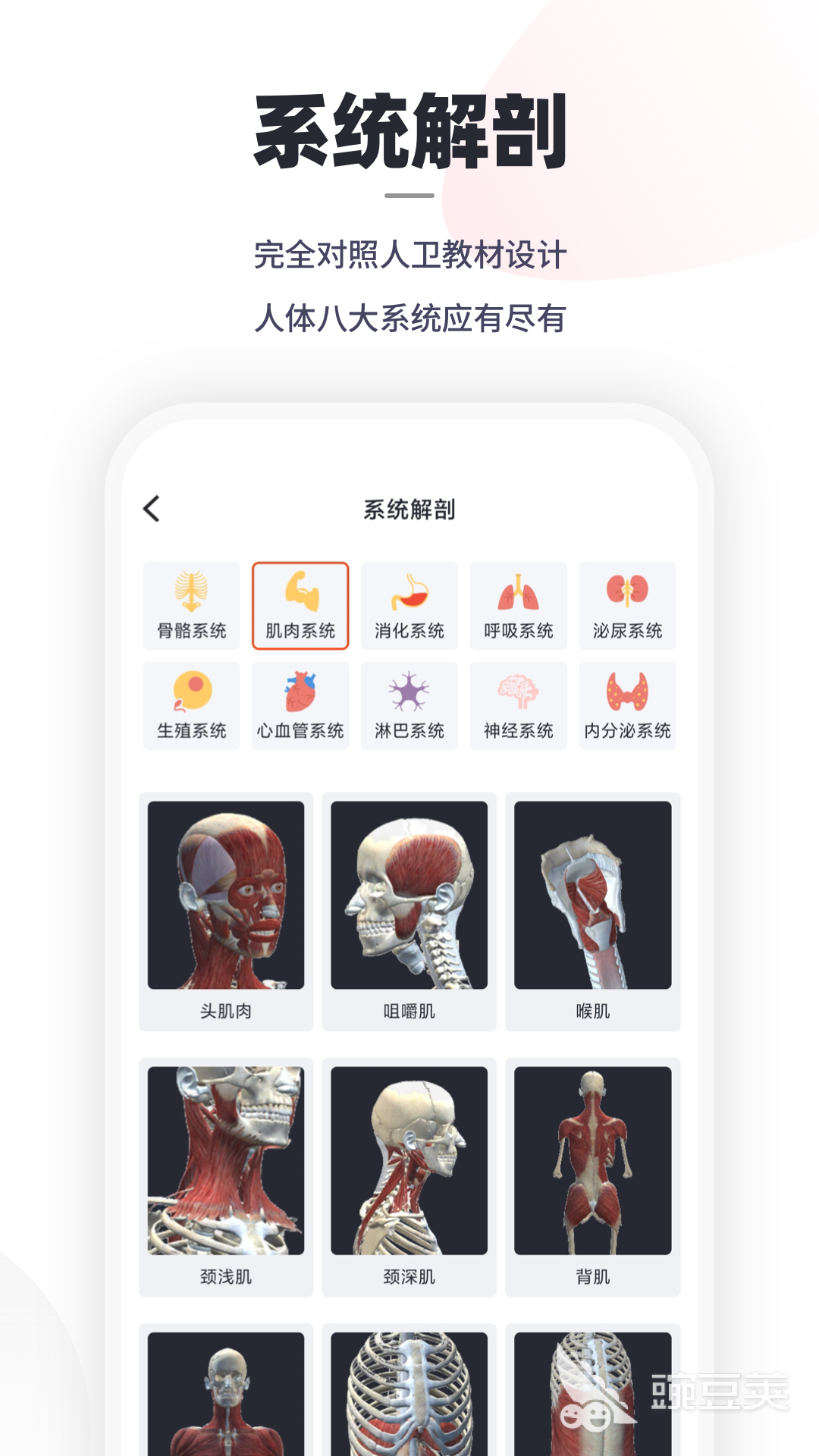 2020人体解剖学图谱app下载大全 好用的人体解剖学图谱app有哪些