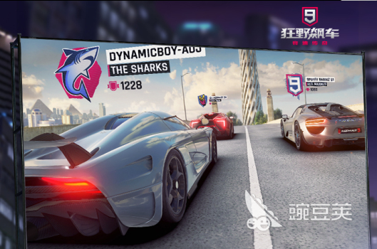 双人赛车游戏手机版大全2022 双人赛车游戏排行榜top10