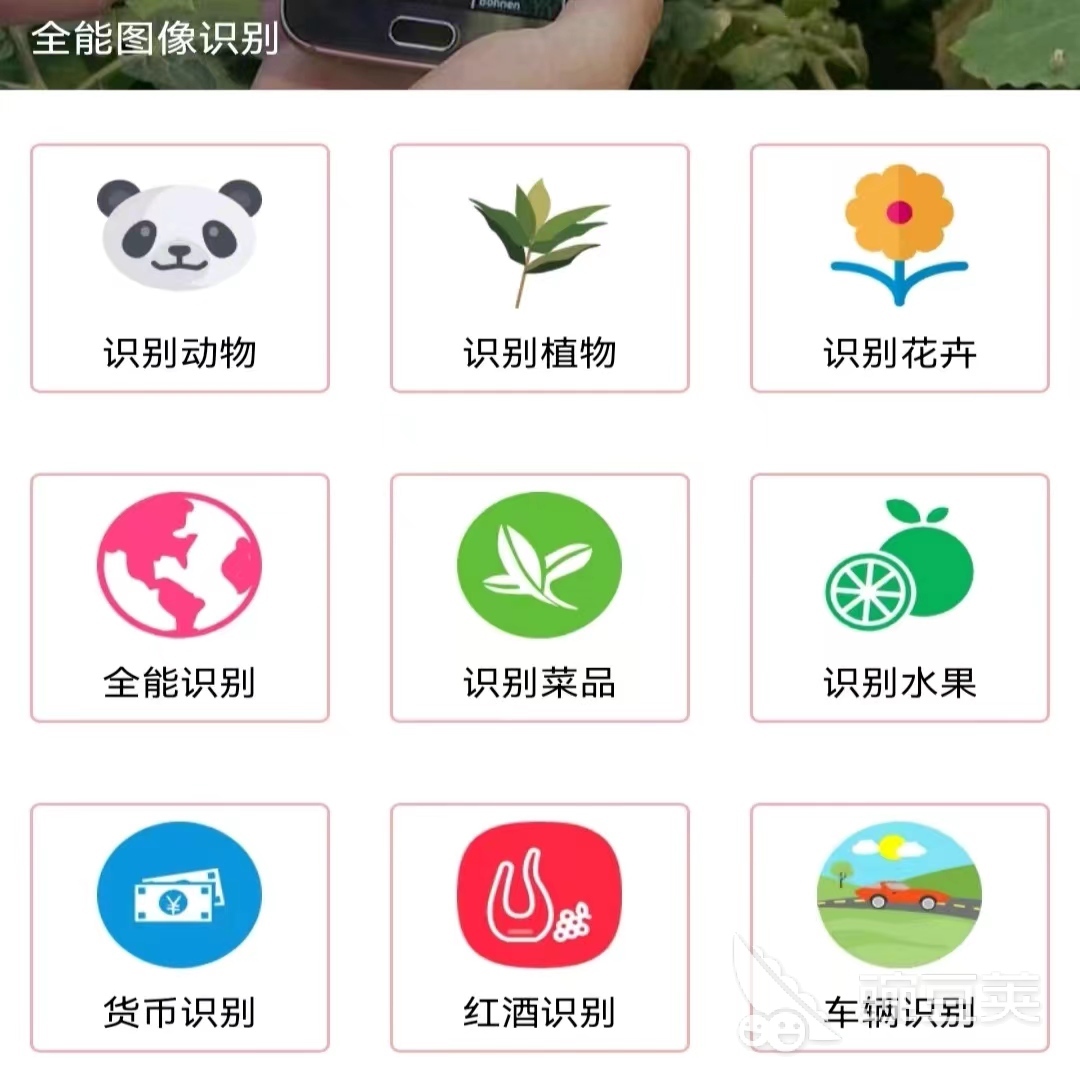 植物识别神器app下载2022 植物识别app有哪些