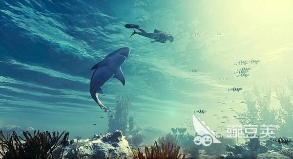 2022食人鲨正版下载 食人鲨正版下载地址分享