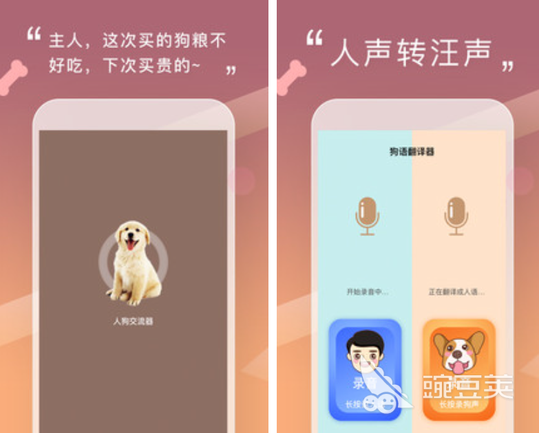 动物翻译软件下载大全2022 最新翻译动物语言的app下载推荐
