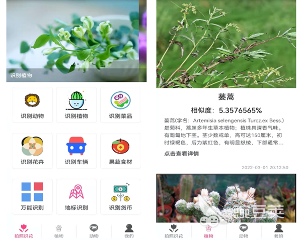 有哪些手机识别花草的app 拍照识别植物的软件推荐